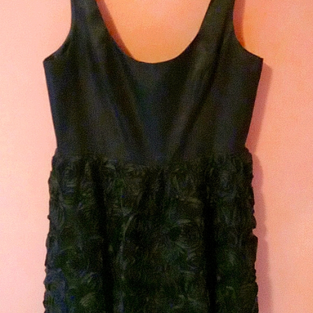 ADRIANNA PEPELL Boutique , 12 , Black.
